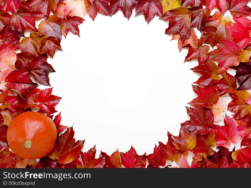 Vine leaves frame and pumpkin on white background. Vine leaves frame and pumpkin on white background