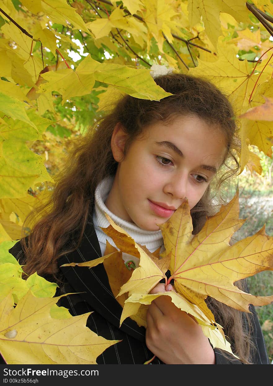 The young beautiful girl with yellow leaves in an autumn. The young beautiful girl with yellow leaves in an autumn