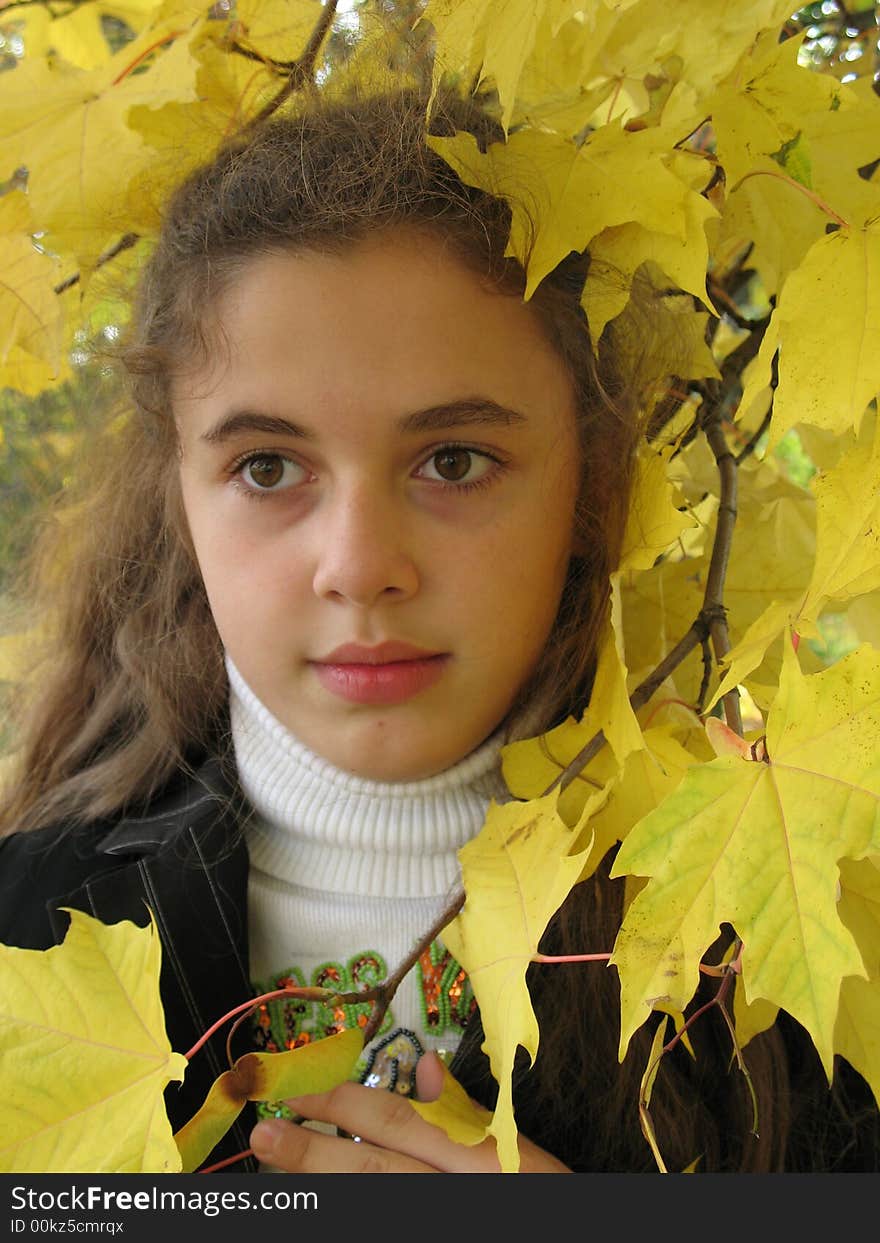 The young sad girl with yellow leaves in an autumn. The young sad girl with yellow leaves in an autumn