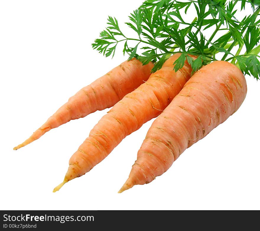 Tree Carrots