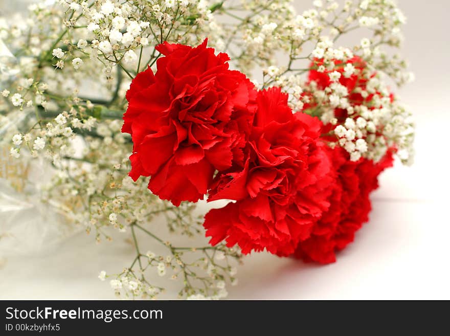 Posy red carnation on background