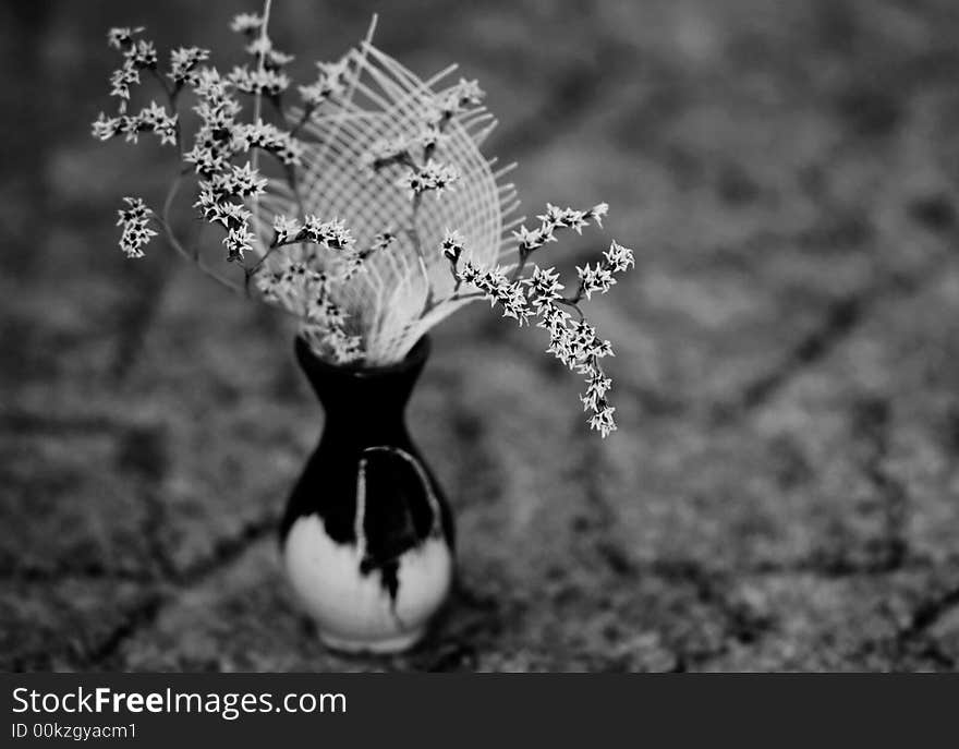 Dry flowers