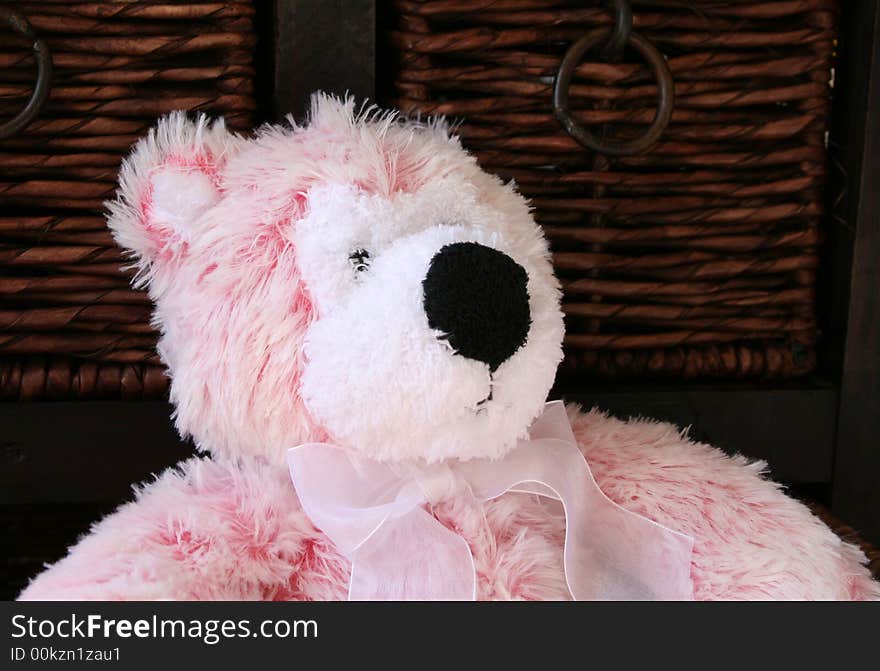 Pink and White Teddy