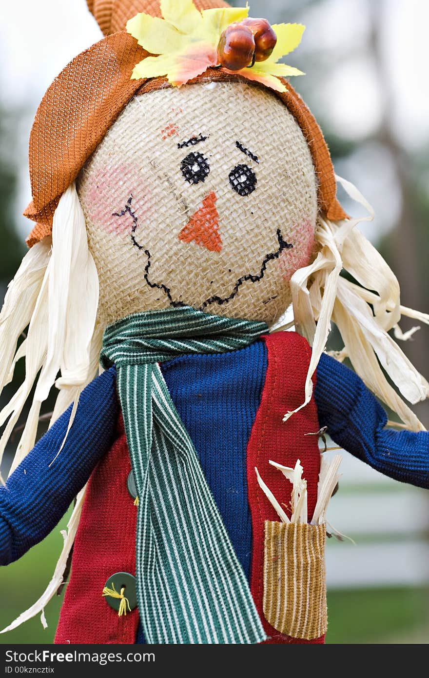 A close up of an autumn Halloween Thanksgiving scarecrow. A close up of an autumn Halloween Thanksgiving scarecrow.