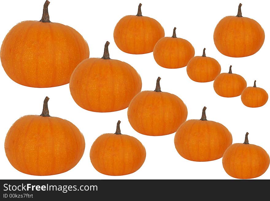 Thirteen pumkins lineup in front of white background. Thirteen pumkins lineup in front of white background