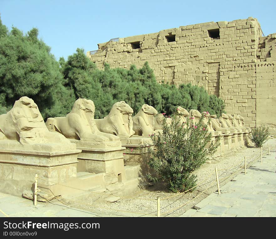 Avenue of Sphinxs at Karnak temple in Luxor, Egypt. Avenue of Sphinxs at Karnak temple in Luxor, Egypt