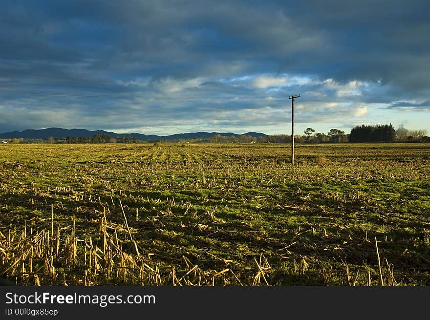 Harvested Cornfield in Colour