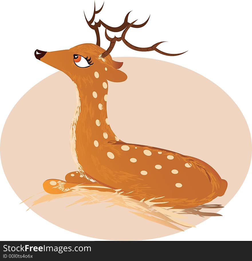 Beautiful deer