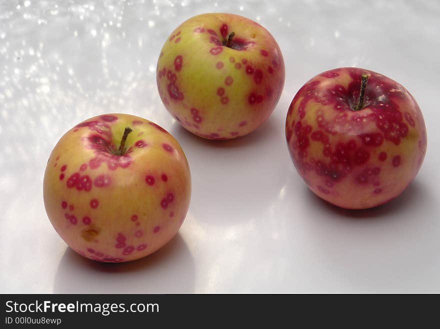 Apple on a white background