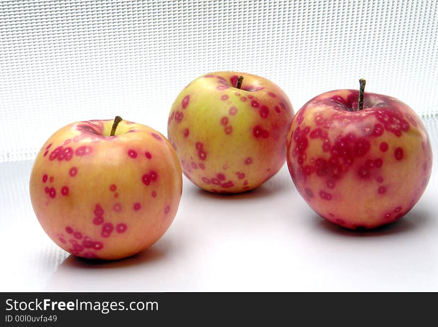 Apple on a white background