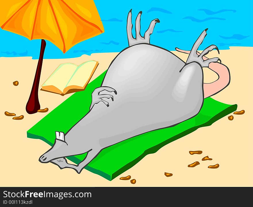 Mouse on a beach