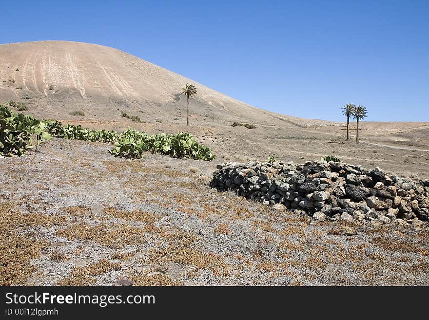 Arid landscape in Lanzarote, Canary Islands, Spain