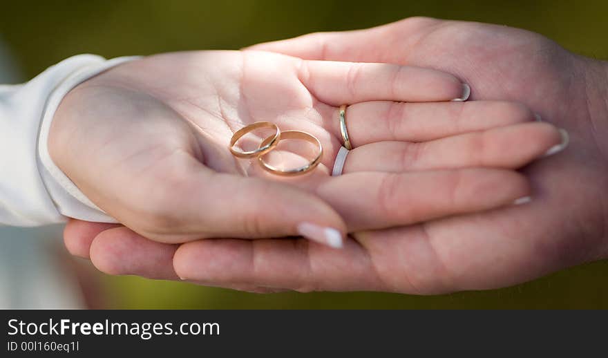 Bride and Groom's hand, showing their rings. Detail. Bride and Groom's hand, showing their rings. Detail.