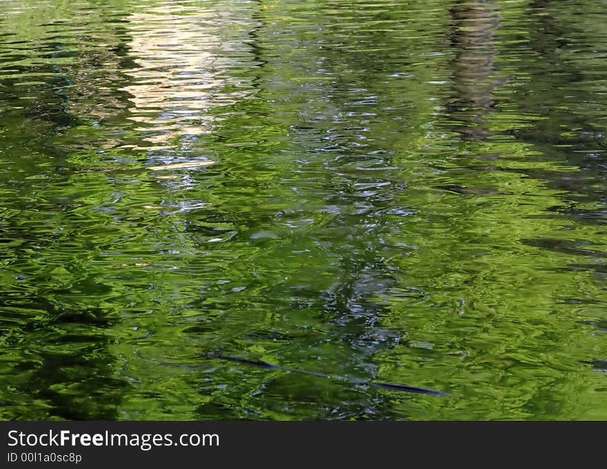 Abstract pond background