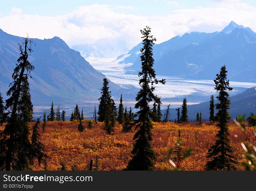 View of Alaskan mountains and meadow.