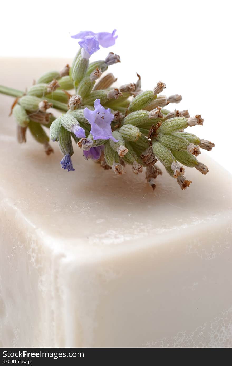 Soap With Lavender