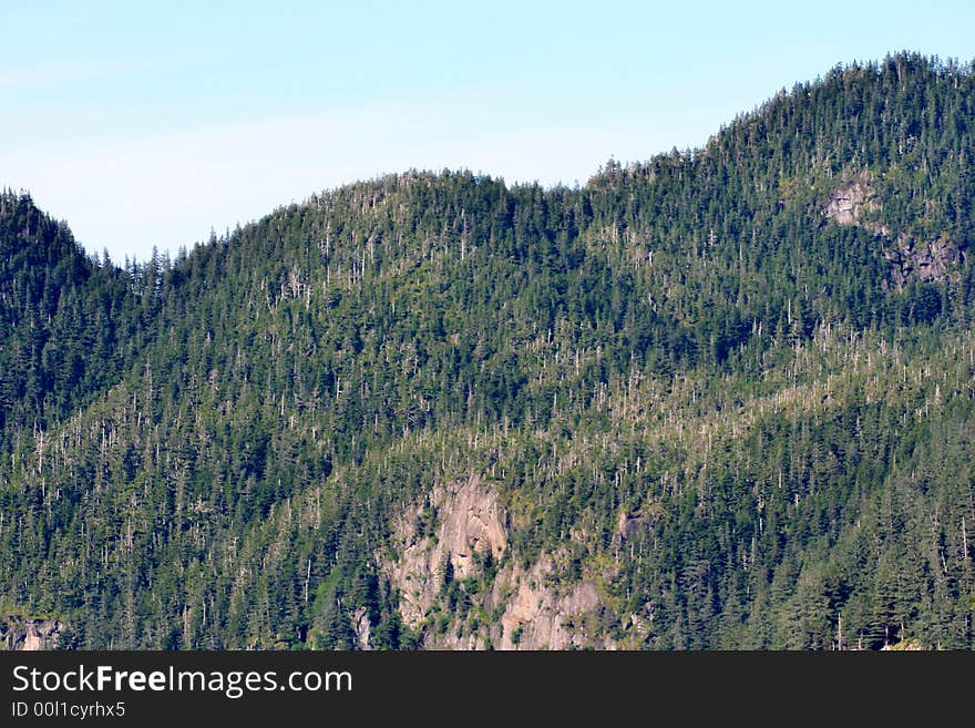 Forested Mountains