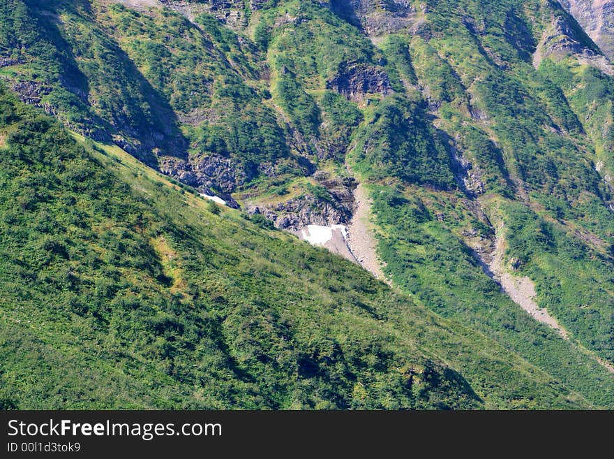 Forested Mountains