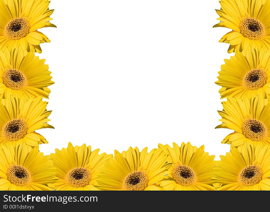 Flower background frames