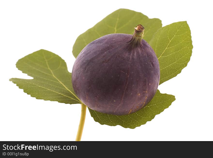 Figs on the leaf