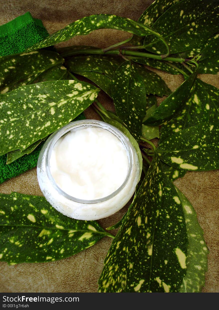 Container of cosmetic moisturizing cream with leaves