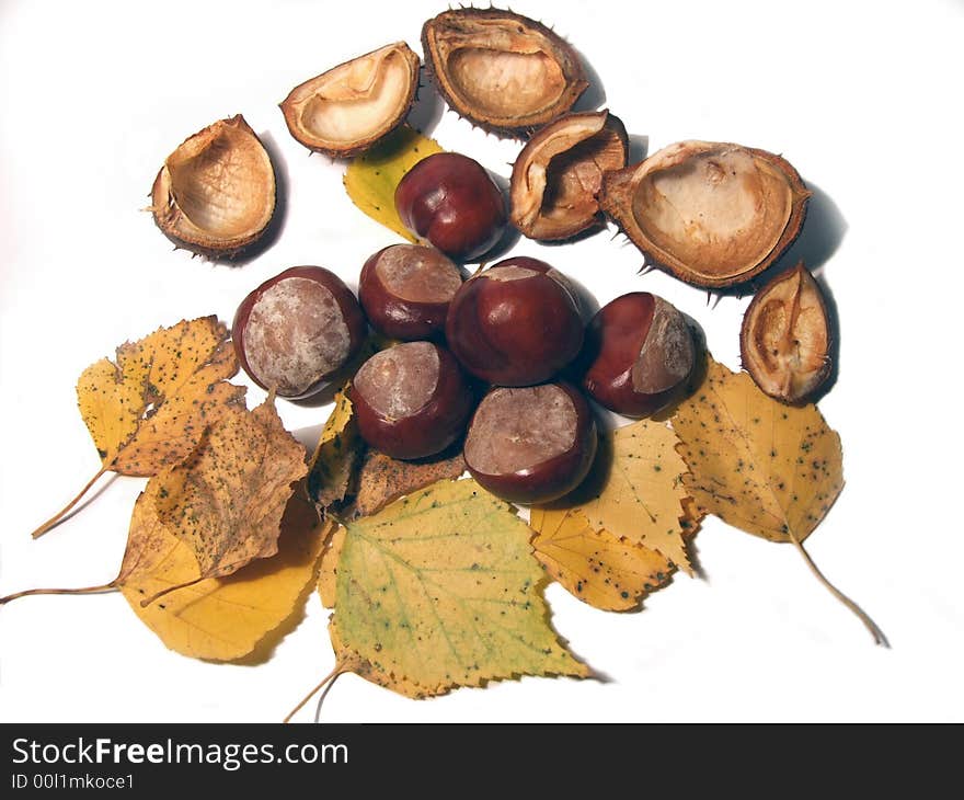 Chestnuts, yellow leaves and chestnut husks isolated on white. Chestnuts, yellow leaves and chestnut husks isolated on white