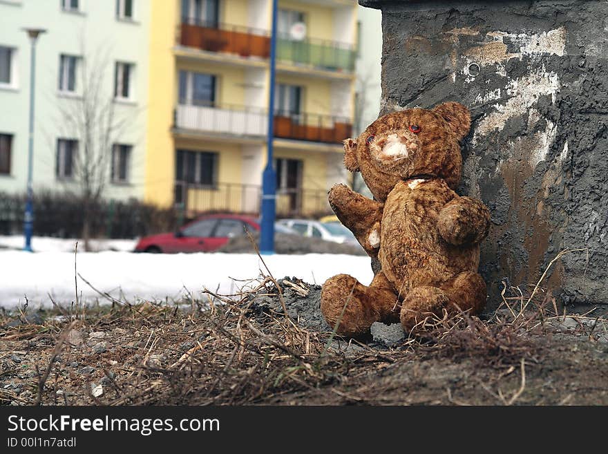 Bear toy alone in big city