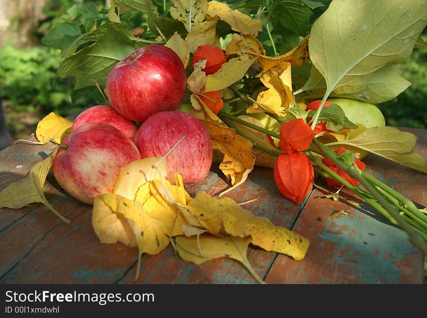 Autumnal Apples And Flowers