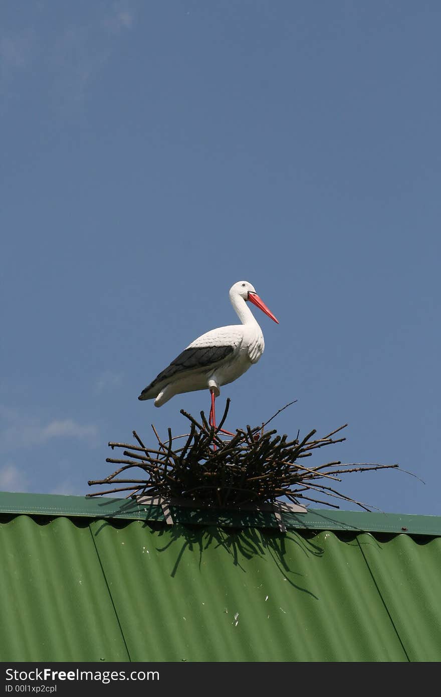 Stork on nest