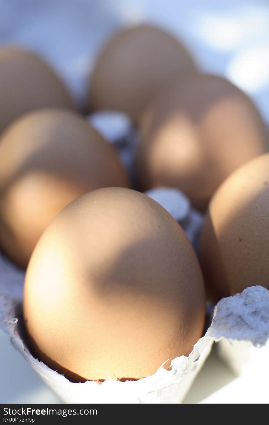 Organic freerange eggs in cardboard eggbox