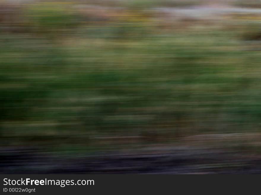 Plants on speed, view from train window