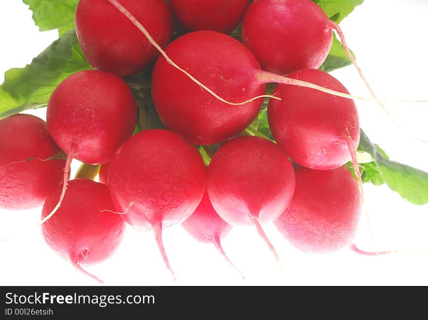 Bunch of red radish on white background