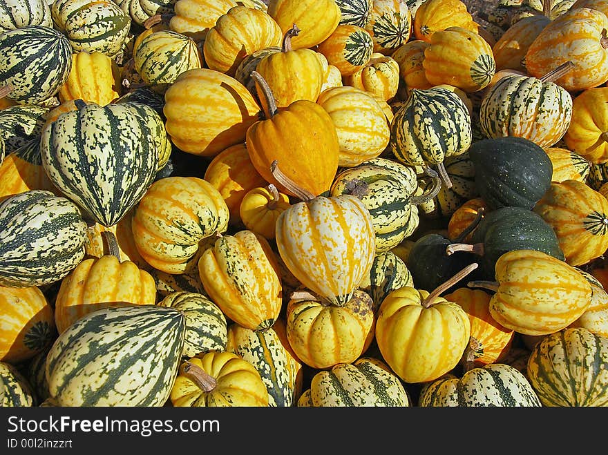 Gourds