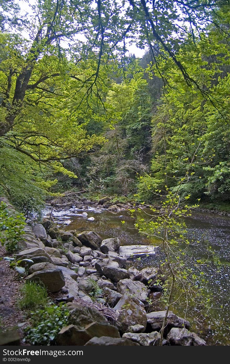 Rocky river and wood