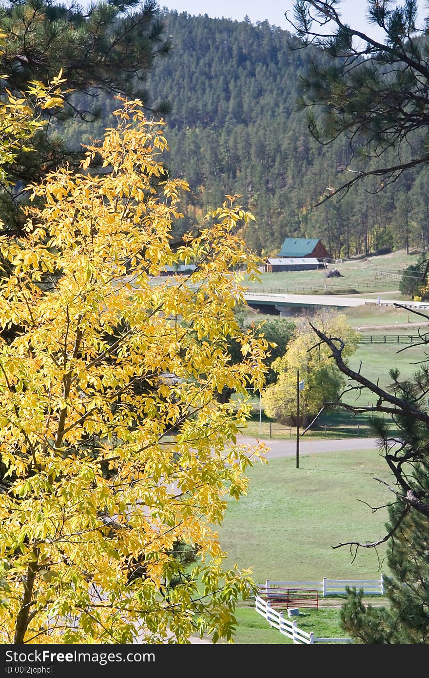 Yellow tree with a house in a valley on background. Yellow tree with a house in a valley on background