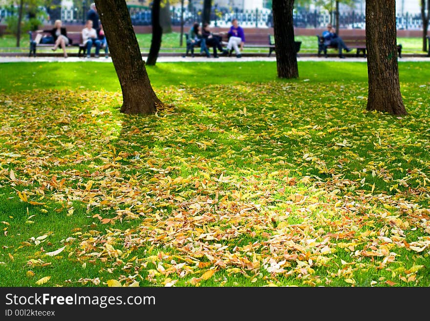 Autumn in a park