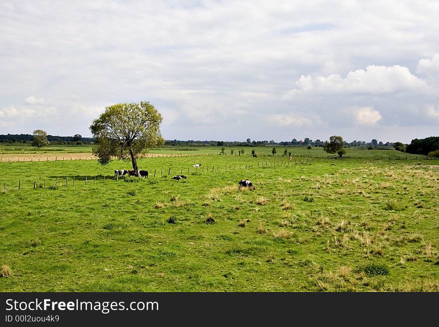 Beautiful green countryside landscape, Poland. Beautiful green countryside landscape, Poland