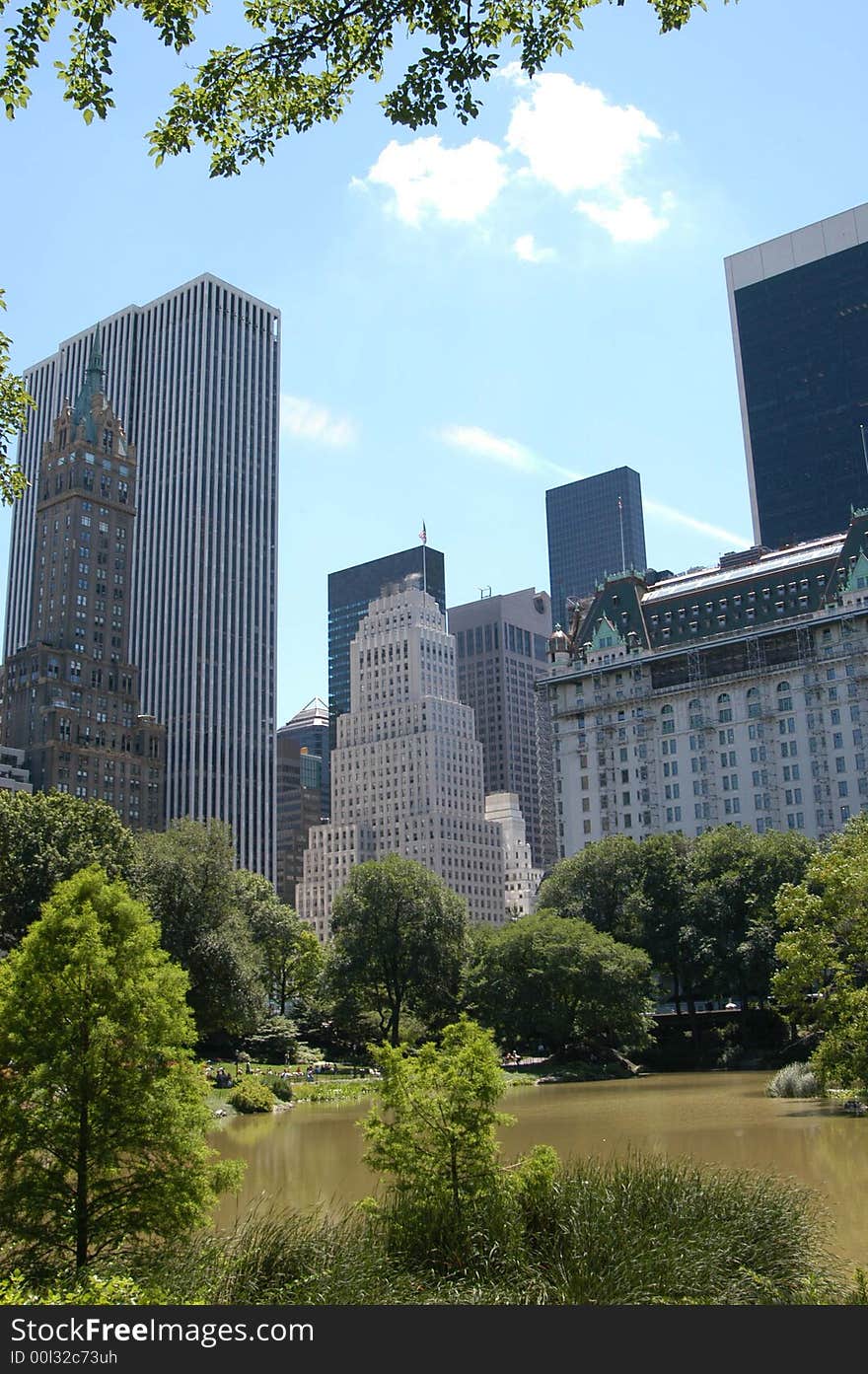 A view from central park new york. A view from central park new york