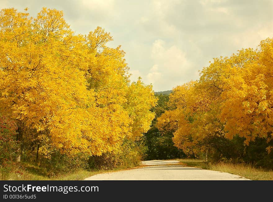 Autumn scene