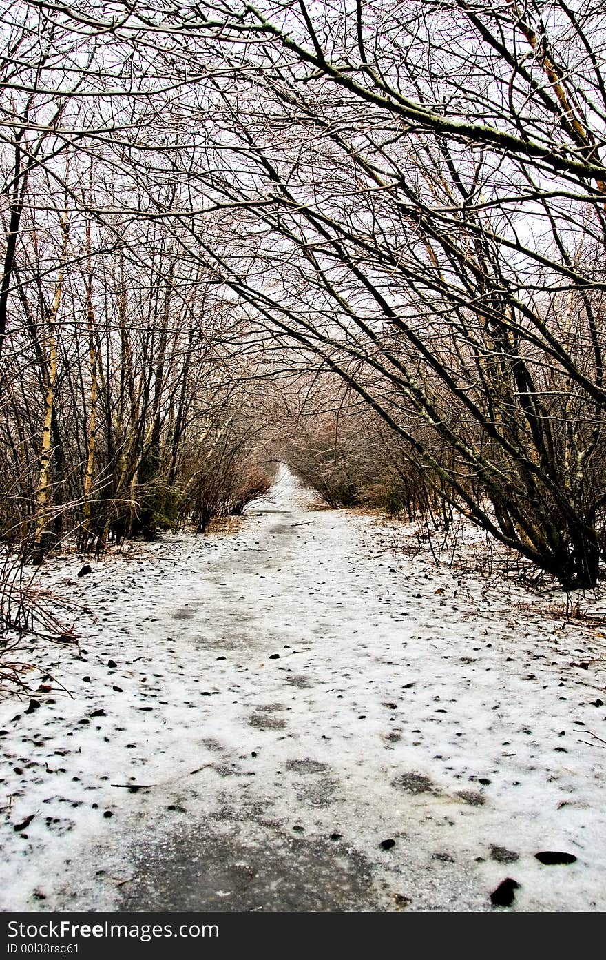 Winter weather, ice storm