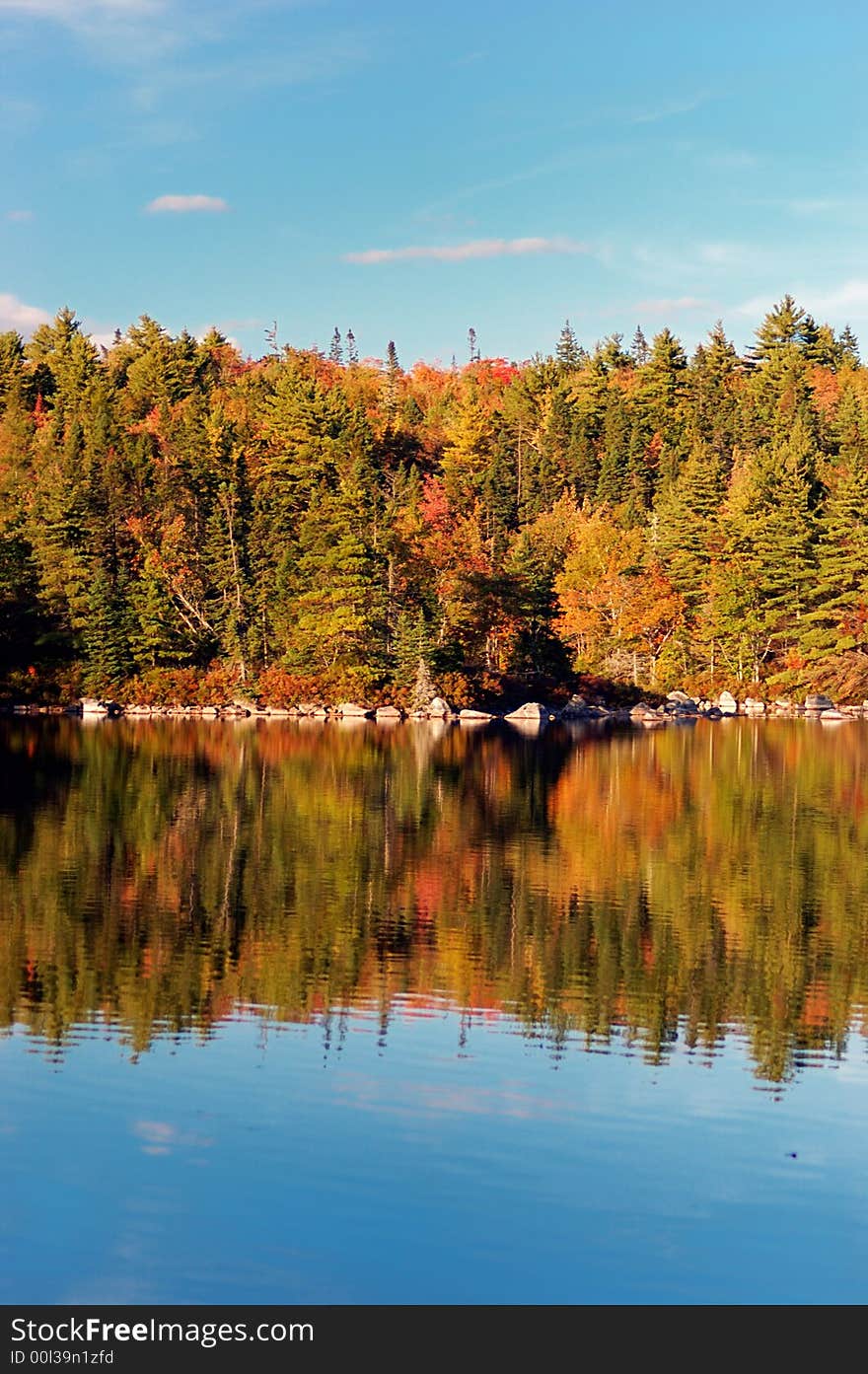 Fall Reflections of changing leaves with blue sky