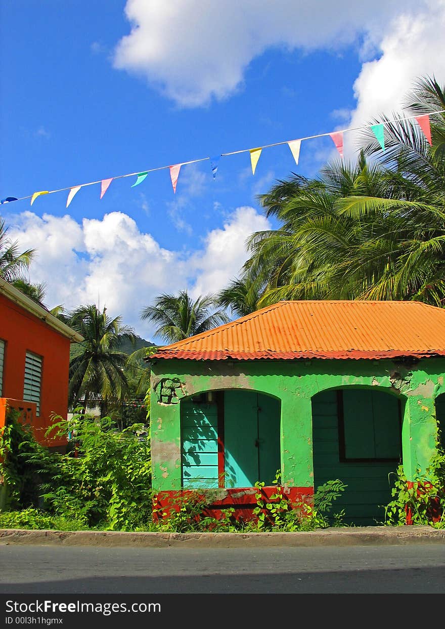 Colorful Tropical Store