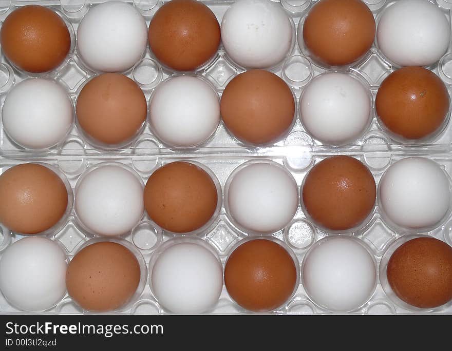 Brown & White Eggs