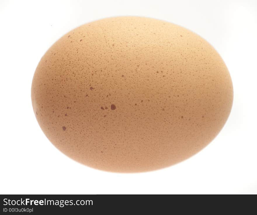 A single chicken egg against a white background