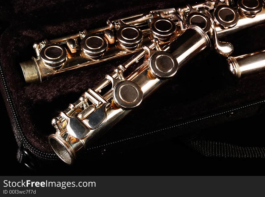 Flute in case