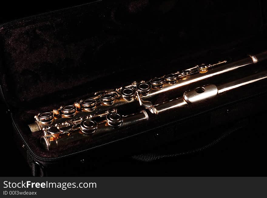 Flute in case