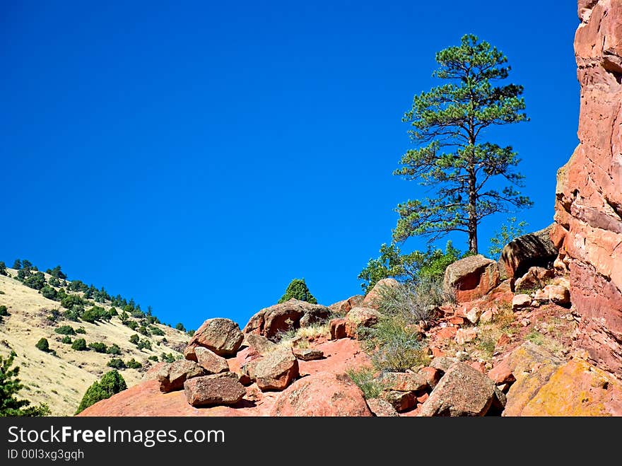 Rocky hills, a pine tree and a deep blue sky