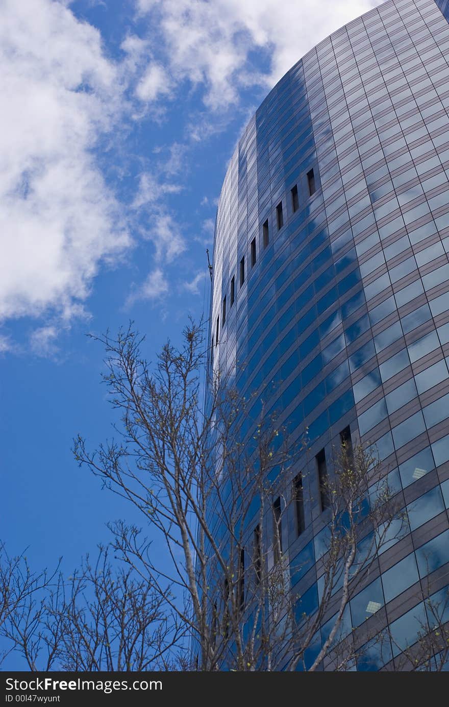 Modern Glass Skyscraper And Tree