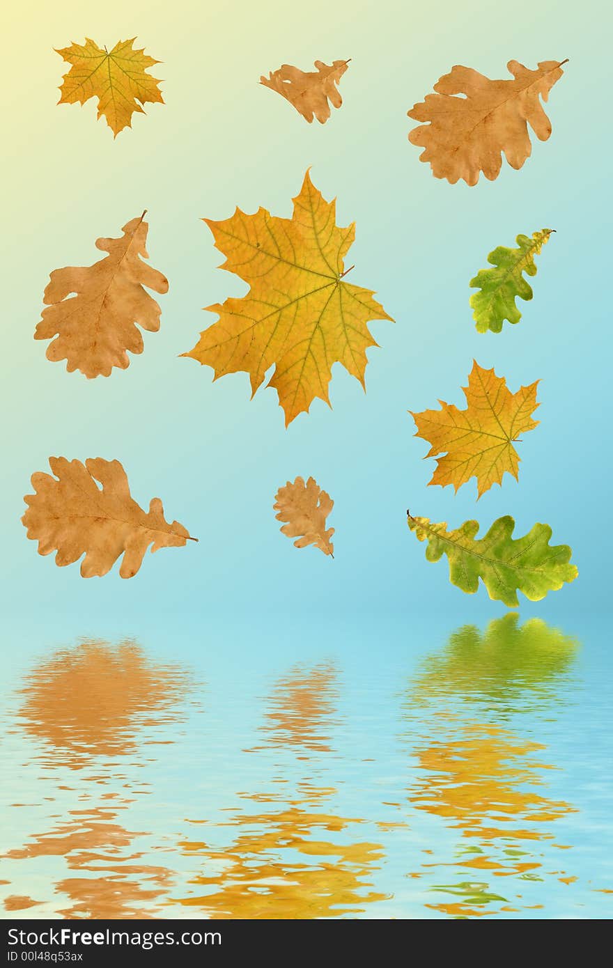 Multi-coloured autumn leaves on a blue background and their reflection in water.