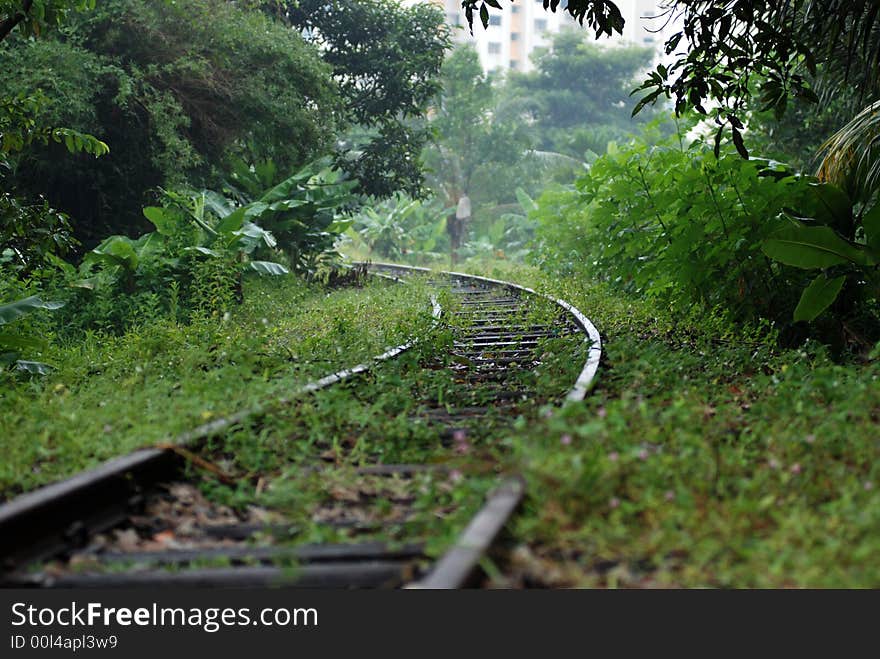 Deserted railway tracks